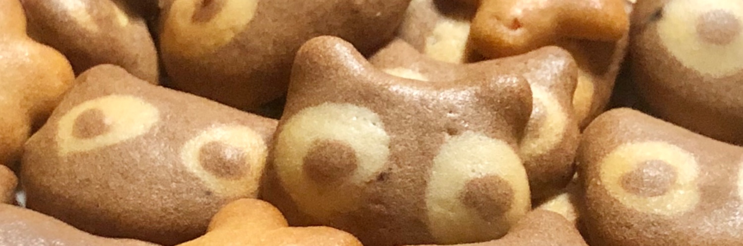 ヘッダー画像