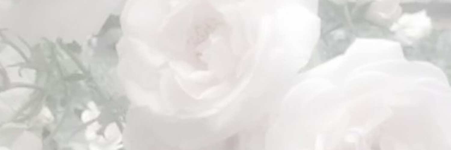 ヘッダー画像