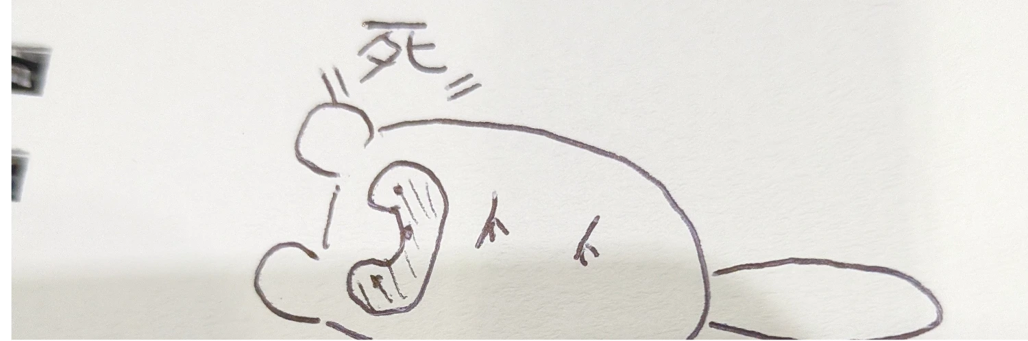 ヘッダー画像