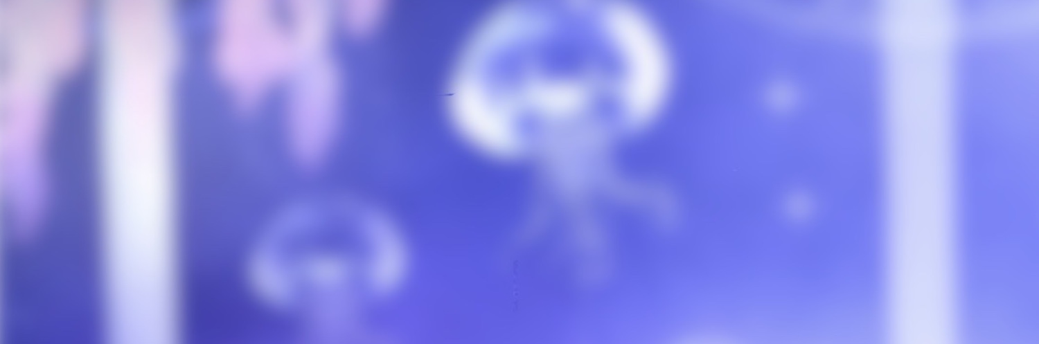 ヘッダー画像