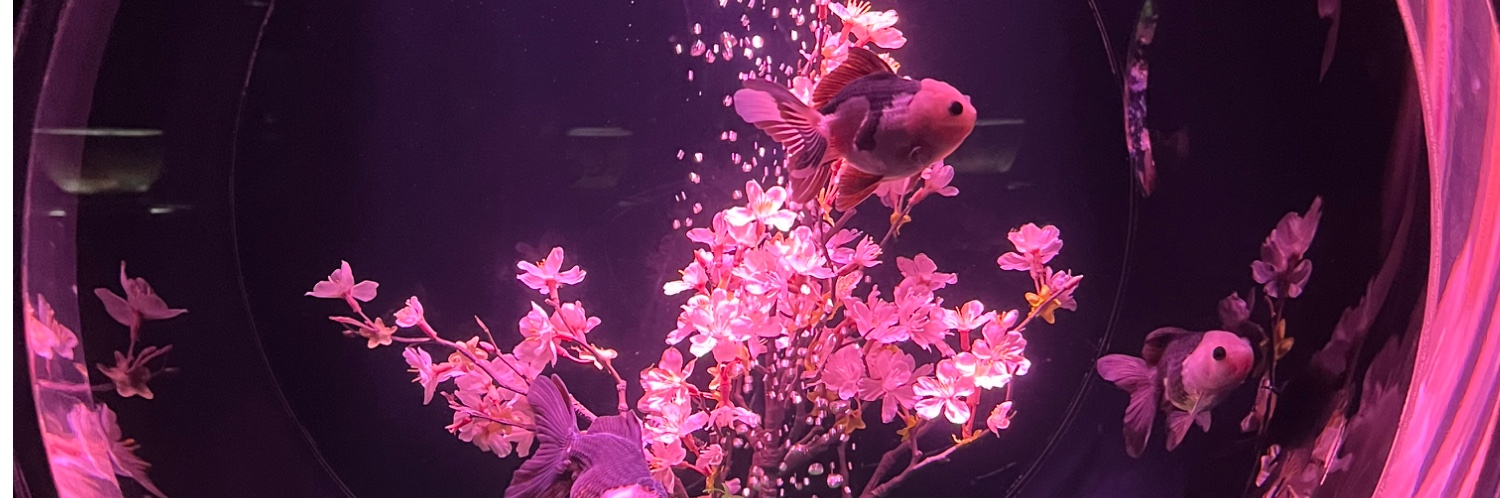 ヘッダー画像
