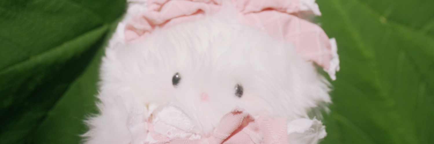 ヘッダー画像
