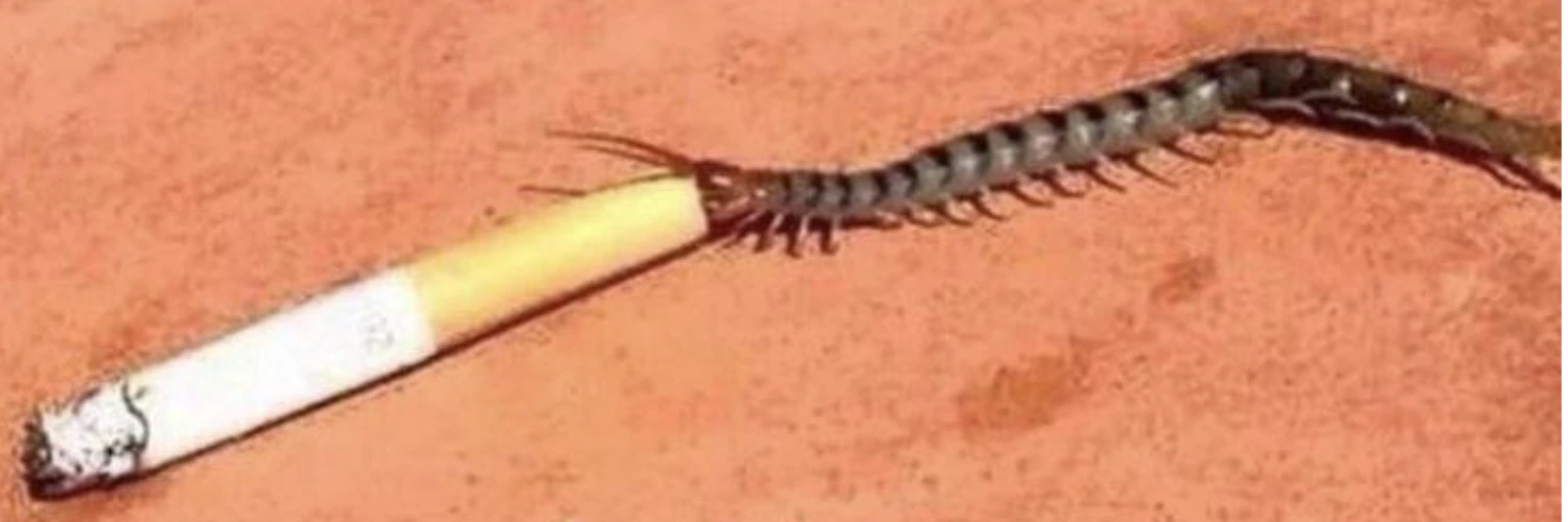 ヘッダー画像