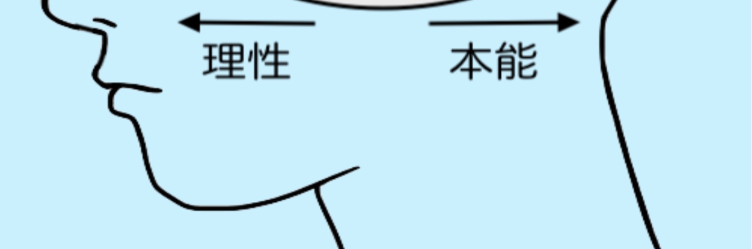 ヘッダー画像